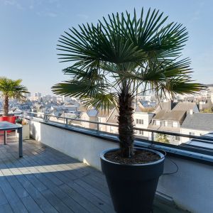 photo 1: Appartement 5 Pièces TOIT TERRASSE
