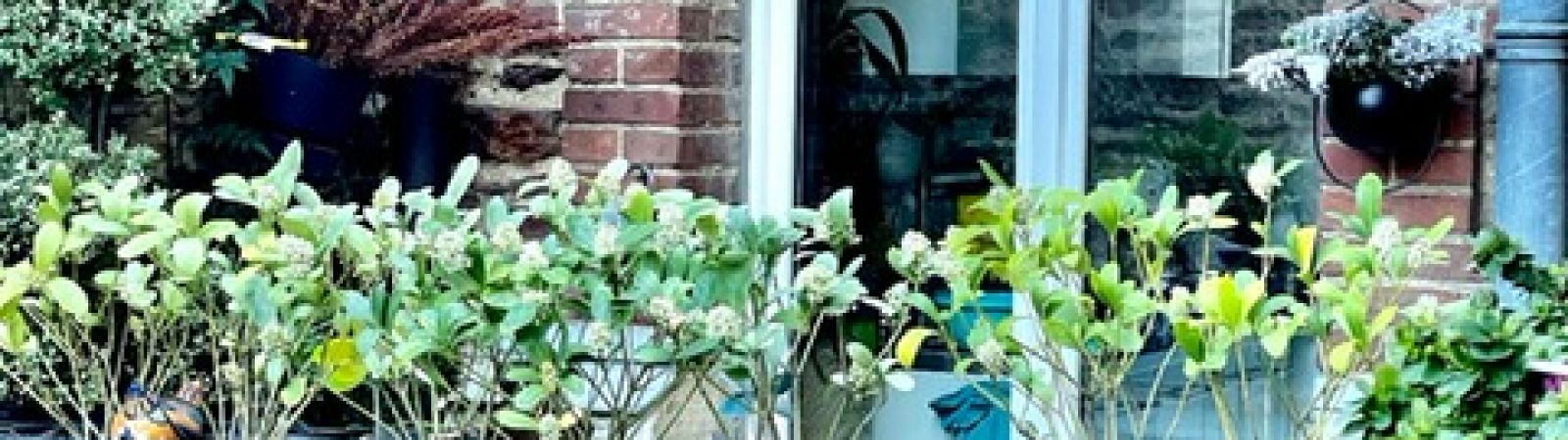 photo 4: Appartement d’exception – Rennes – 5 pièces – 130 m²