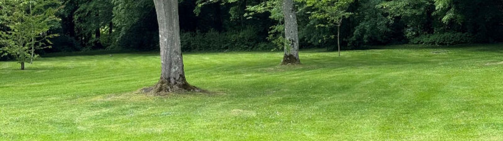 photo 3: Exceptionnelle maison de maître